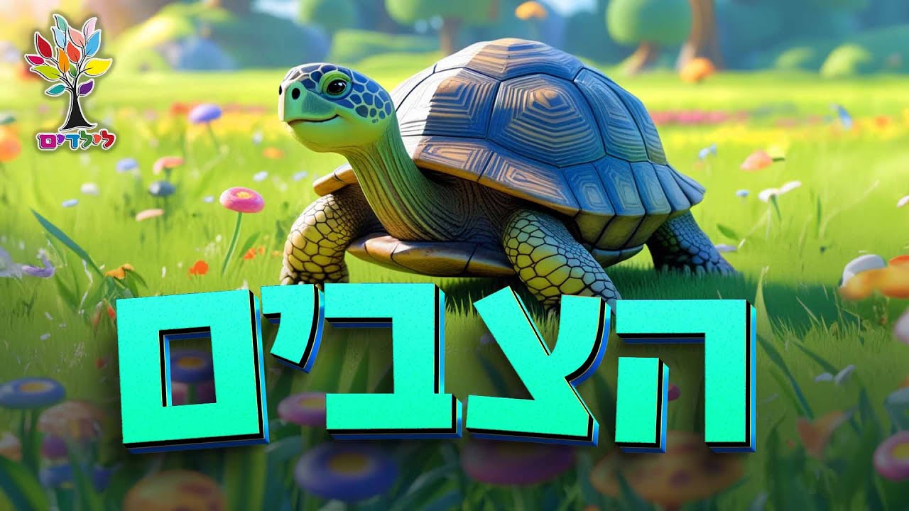 הצב
