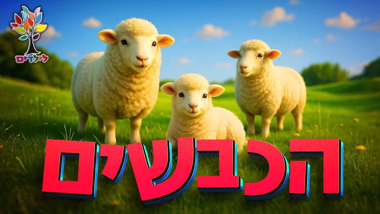 הכבש